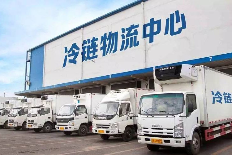 冷链中的资格认证和验证有什么区别？