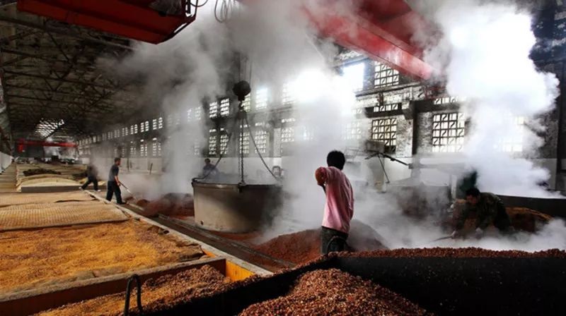 酿酒车间抖音成人版下载