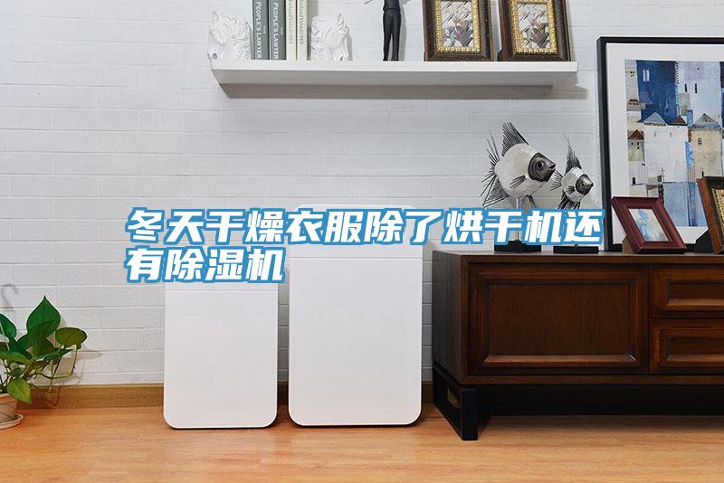 冬天干燥衣服除了烘干机还有抖音成人版下载