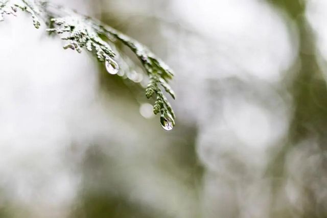 空气湿度大带来的危害有哪些，你知道吗？