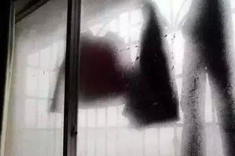 回南天防潮技巧不仅有抖音成人版下载