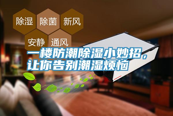 一楼防潮除湿小妙招，让你告别潮湿烦恼
