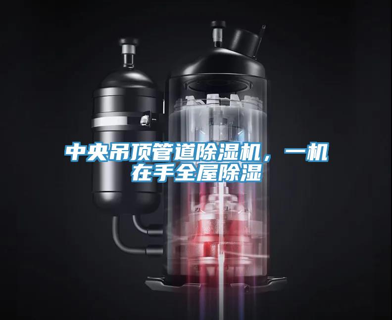 中央吊顶管道抖音成人版下载，一机在手全屋除湿