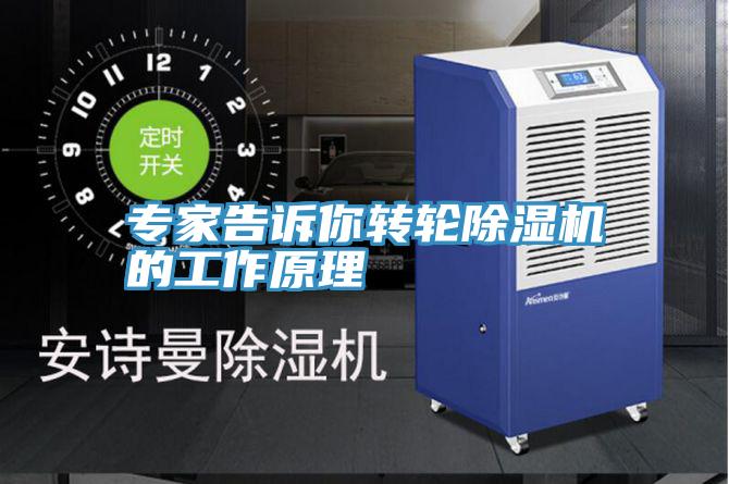 专家告诉你转轮抖音成人版下载的工作原理