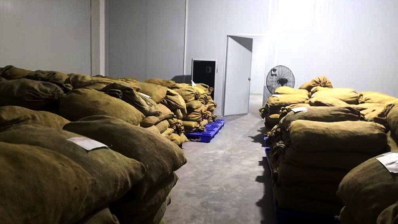 仓库抖音成人版下载在陈皮储存过程中的应用