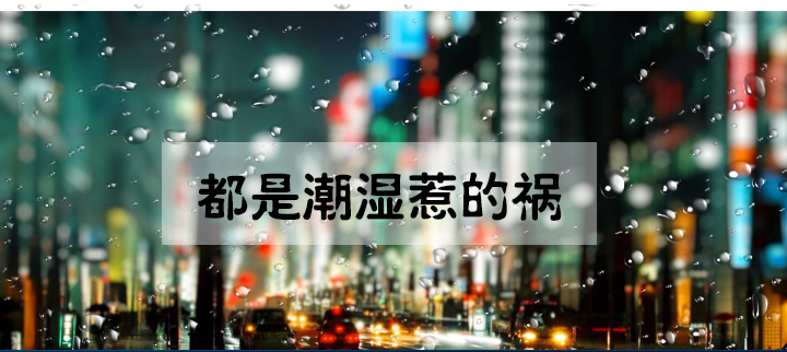 防潮抖音成人版下载