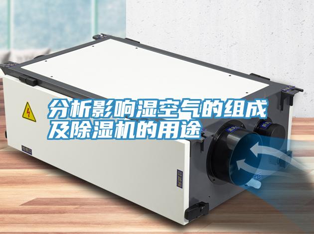 分析影响湿空气的组成及抖音成人版下载的用途