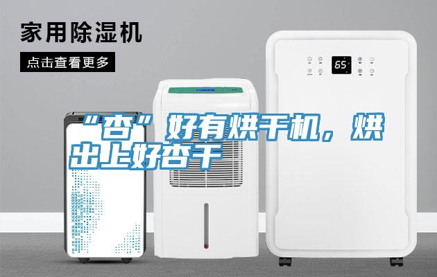 “杏”好有烘干机，烘出上好杏干