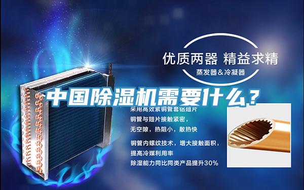 中国抖音成人版下载需要什么？