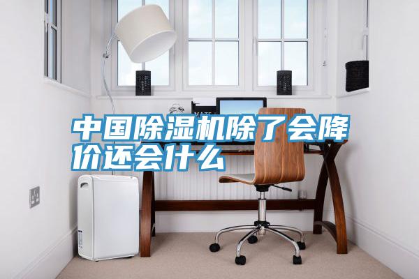 中国抖音成人版下载除了会降价还会什么