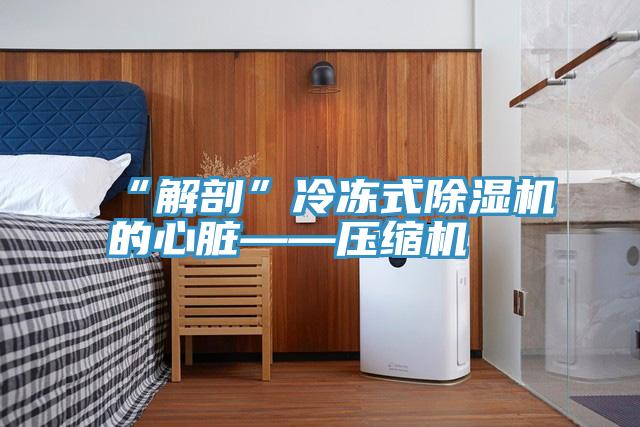 “解剖”冷冻式抖音成人版下载的心脏——压缩机