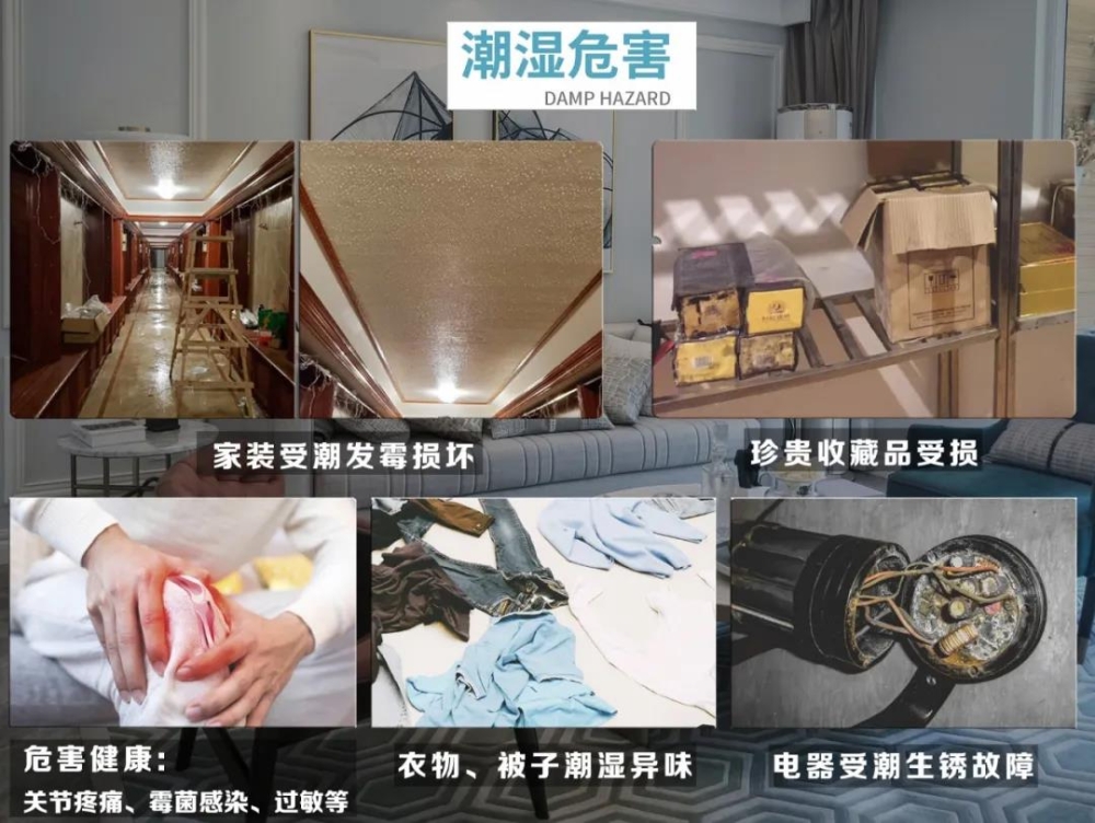 抖音成人版下载