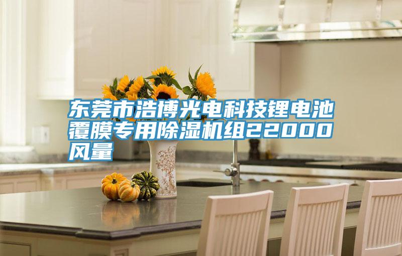 东莞市浩博光电科技锂电池覆膜专用抖音成人版下载组22000风量