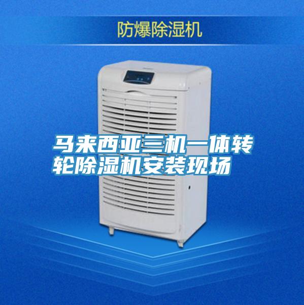 马来西亚三机一体转轮抖音成人版下载安装现场