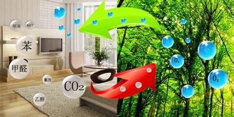 工业抖音成人版下载厂家