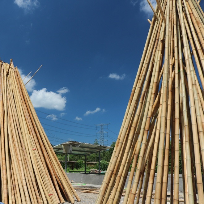 烘干抖音成人版下载