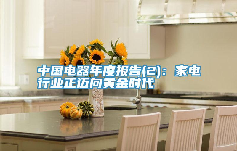 中国电器年度报告(2)：家电行业正迈向黄金时代