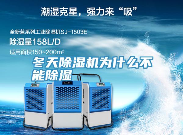 冬天抖音成人版下载为什么不能除湿