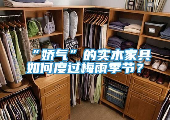 “娇气”的实木家具如何度过梅雨季节？