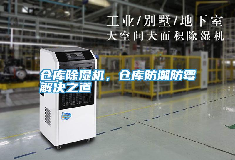 仓库抖音成人版下载，仓库防潮防霉解决之道