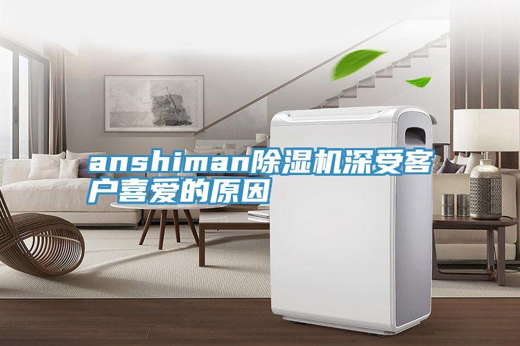 anshiman抖音成人版下载深受客户喜爱的原因
