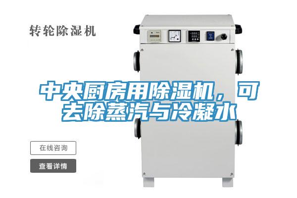 中央厨房用抖音成人版下载，可去除蒸汽与冷凝水