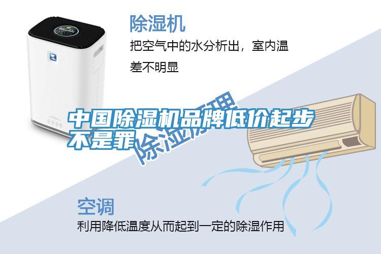 中国抖音成人版下载品牌低价起步不是罪