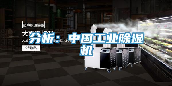 分析：中国工业抖音成人版下载