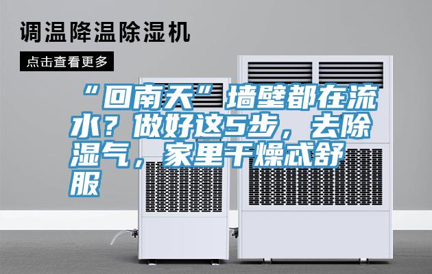 “回南天”墙壁都在流水？做好这5步，去除湿气，家里干燥忒舒服