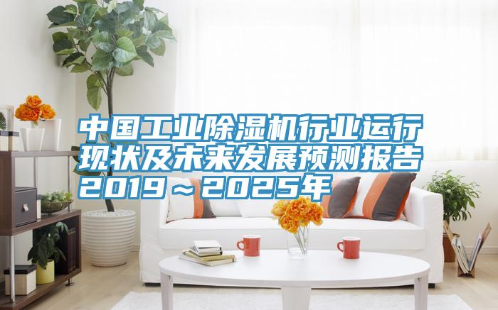 中国工业抖音成人版下载行业运行现状及未来发展预测报告2019～2025年
