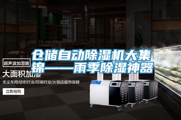 仓储自动抖音成人版下载大集锦——雨季除湿神器