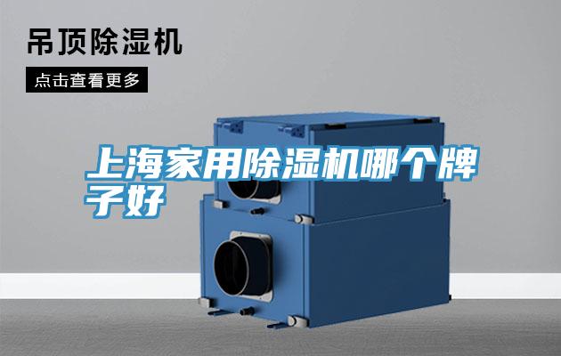 上海家用抖音成人版下载哪个牌子好