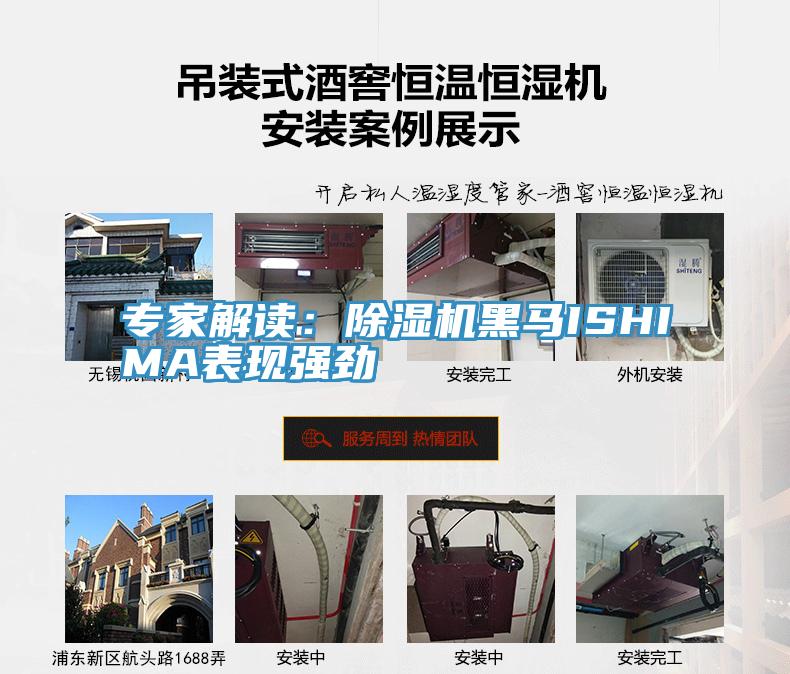 专家解读：抖音成人版下载黑马ISHIMA表现强劲