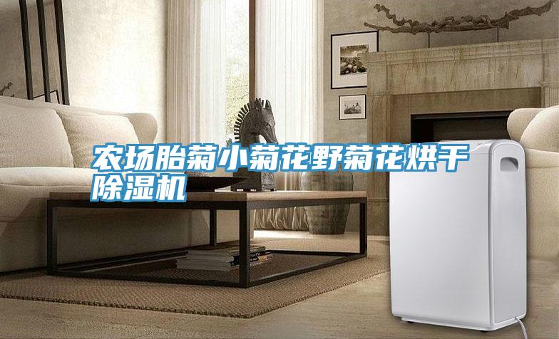 农场胎菊小菊花野菊花烘干抖音成人版下载