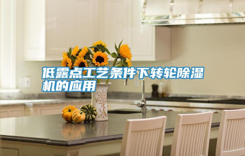 低露点工艺条件下转轮抖音成人版下载的应用