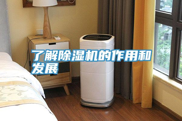 了解抖音成人版下载的作用和发展