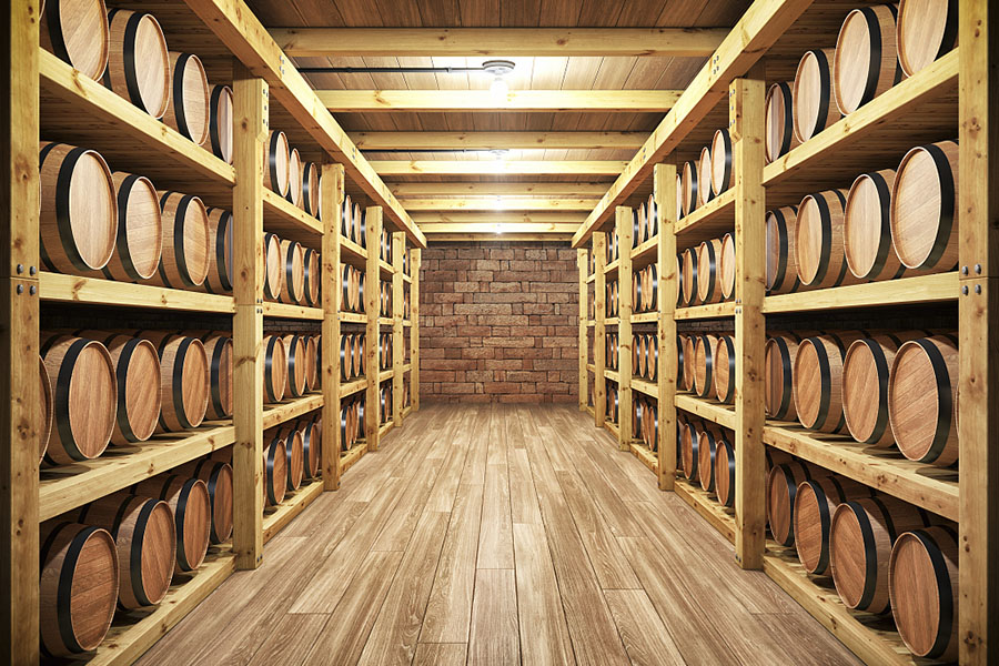 地下室抖音成人版下载的必备功能和特征