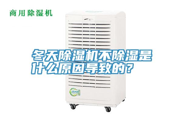 冬天抖音成人版下载不除湿是什么原因导致的？