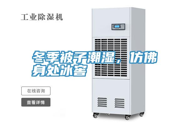 冬季被子潮湿，仿佛身处冰窖