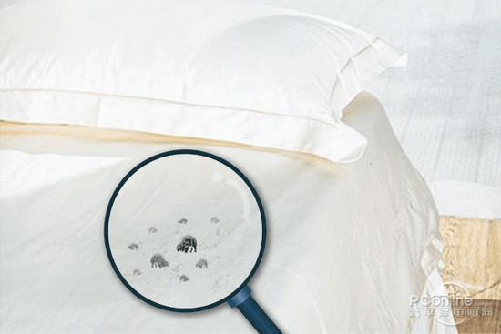 抖音成人版下载加湿器的原理是什么，南北差异应该买哪个？