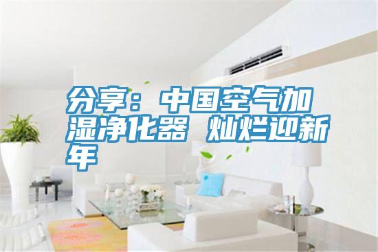 分享：中国空气加湿净化器 灿烂迎新年