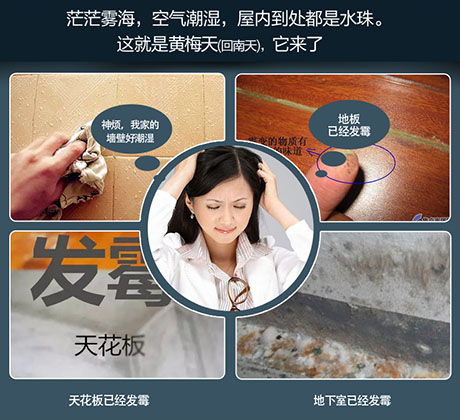 工业抖音成人版下载厂家