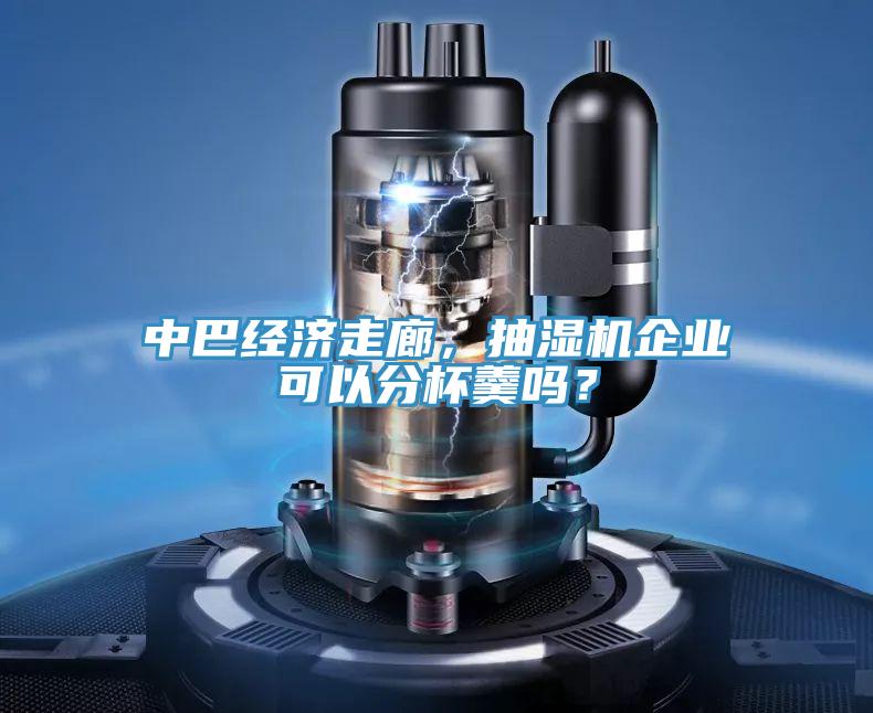 中巴经济走廊，抽湿机企业可以分杯羹吗？