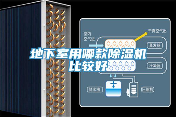 地下室用哪款抖音成人版下载比较好