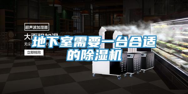 地下室需要一台合适的抖音成人版下载