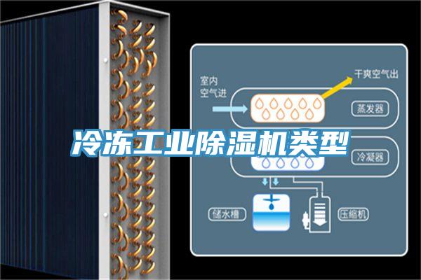 冷冻工业抖音成人版下载类型