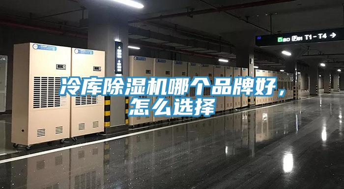 冷库抖音成人版下载哪个品牌好，怎么选择