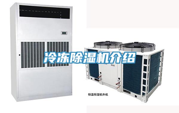 冷冻抖音成人版下载介绍