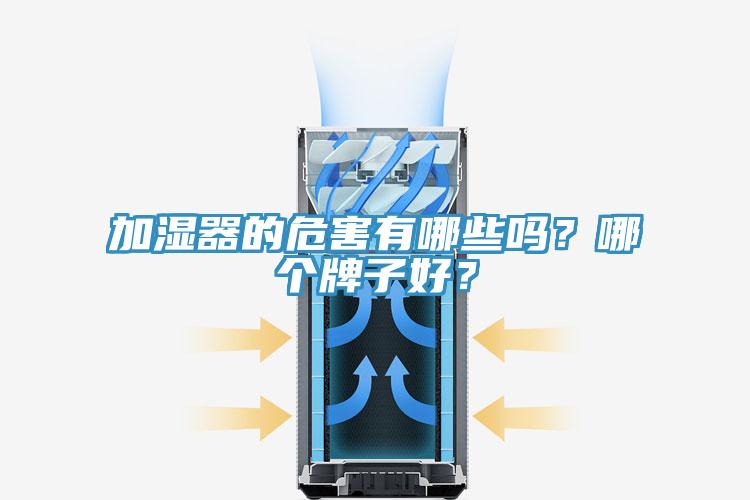 加湿器的危害有哪些吗？哪个牌子好？