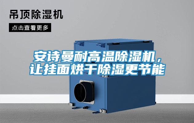 抖音成人版在线观看耐高温抖音成人版下载，让挂面烘干除湿更节能